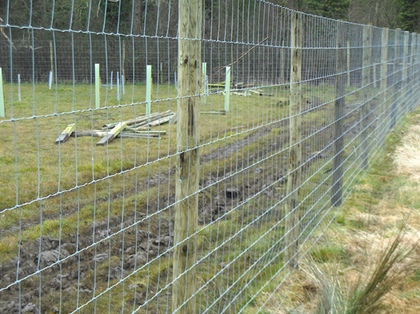 Good Neighbours Fencing – Custom Wood, Deer & Chain Link Fencing Sooke BC