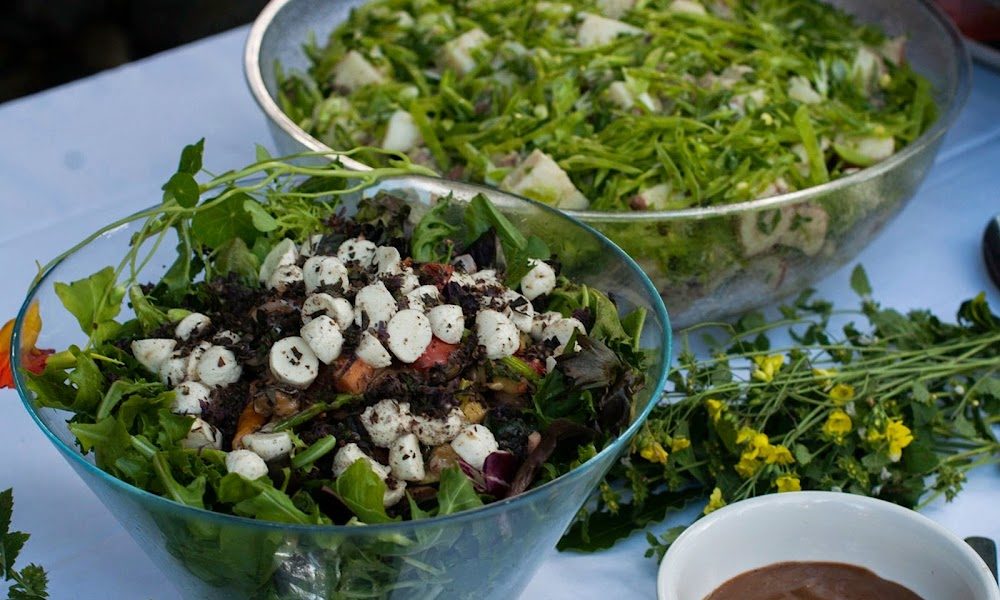 Little Piggy Catering