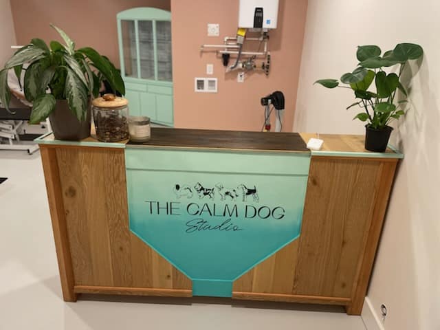 The Calm Dog Studio