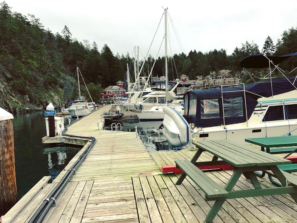 Bedwell Harbour Marina