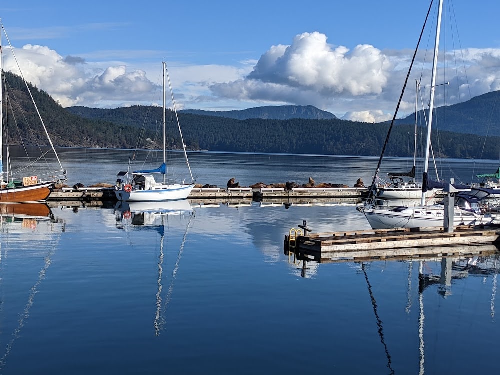 Cowichan Bay Marina Ltd