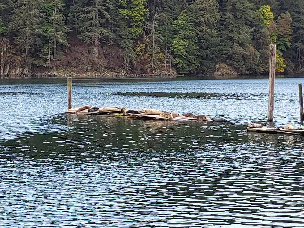 Goldstream Boathouse