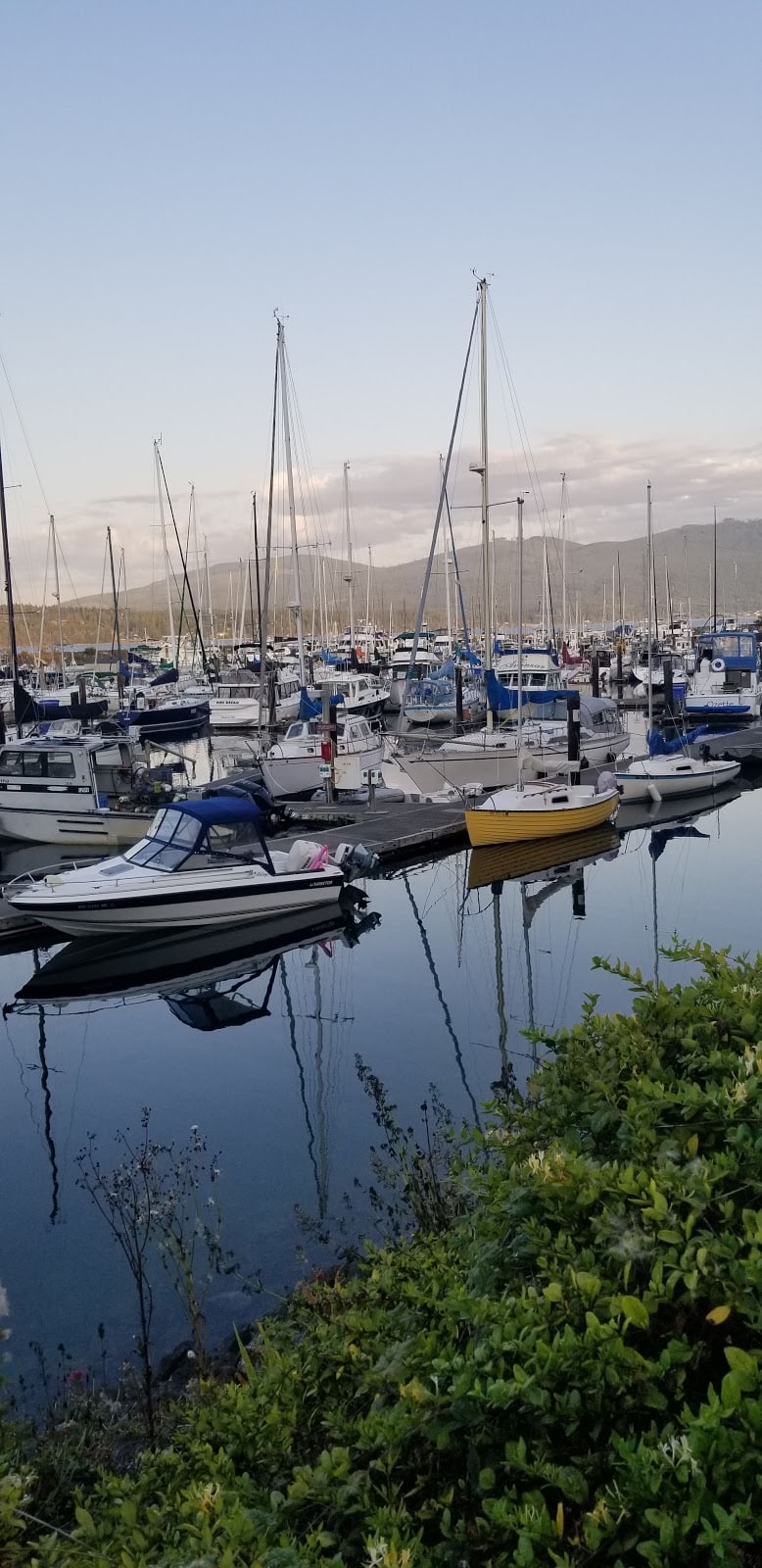 John Wayne Marina