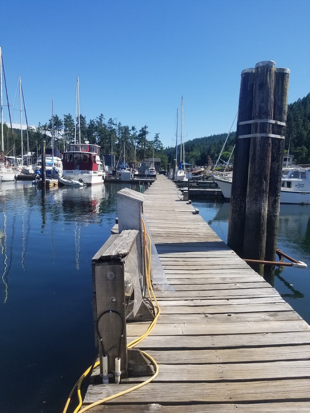 Maple Bay Marina