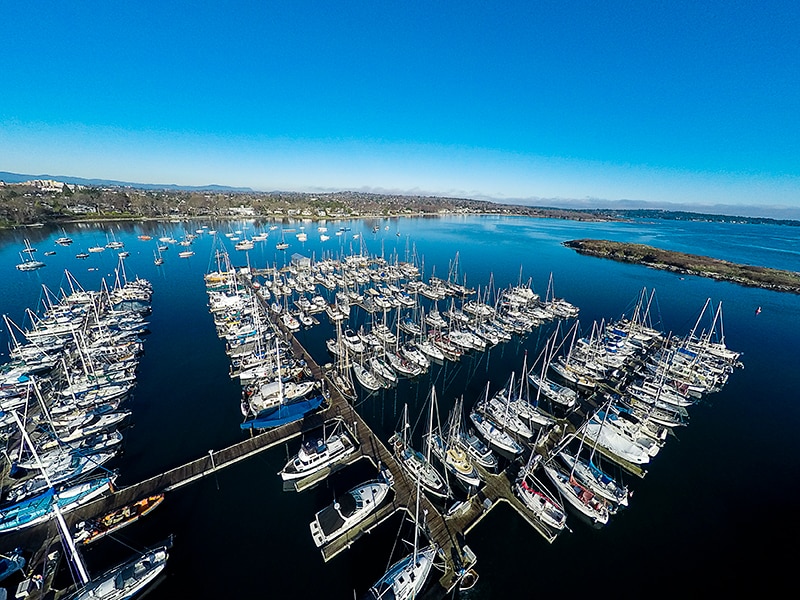 Oak Bay Marina