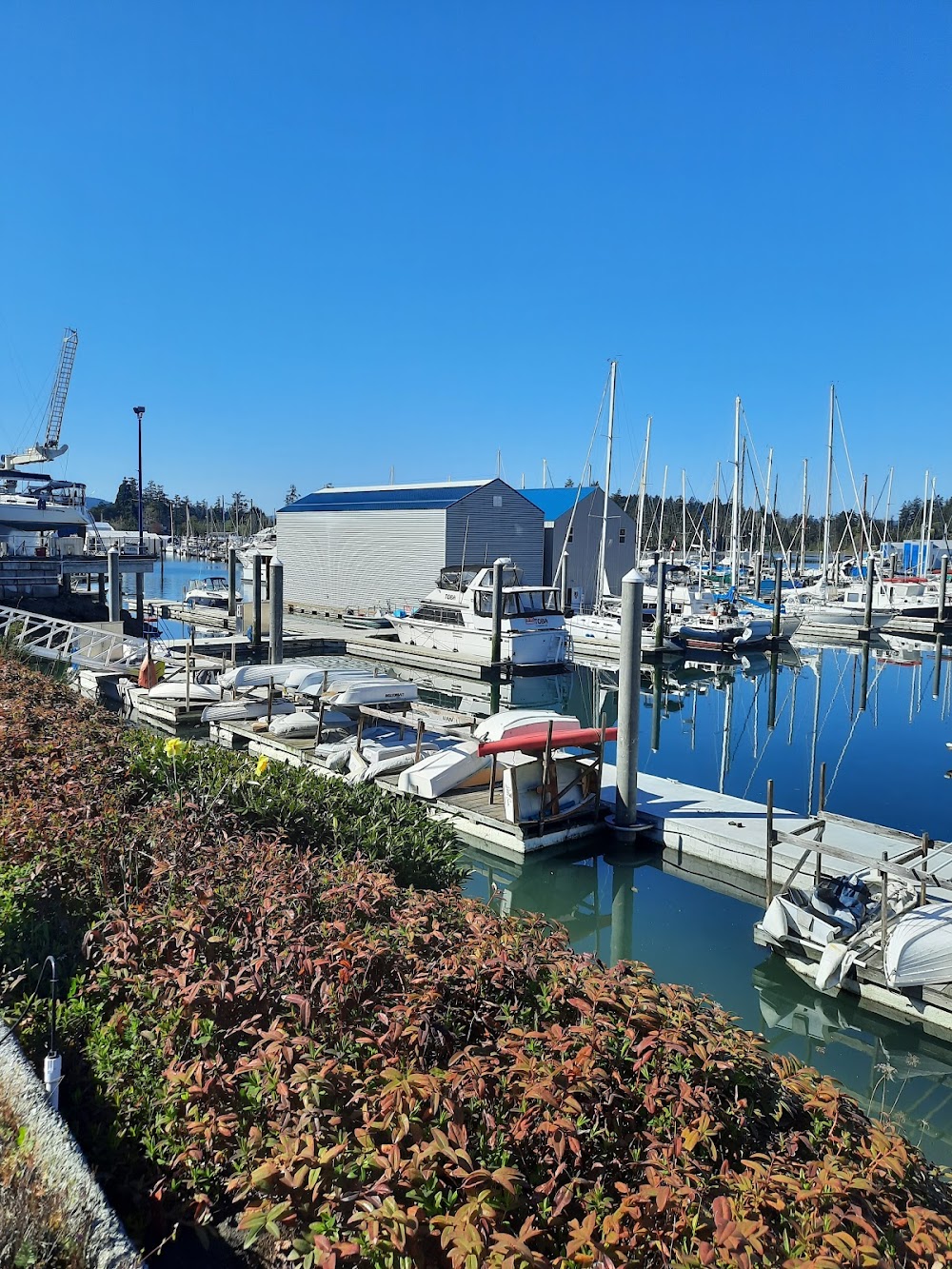 Westport Marina