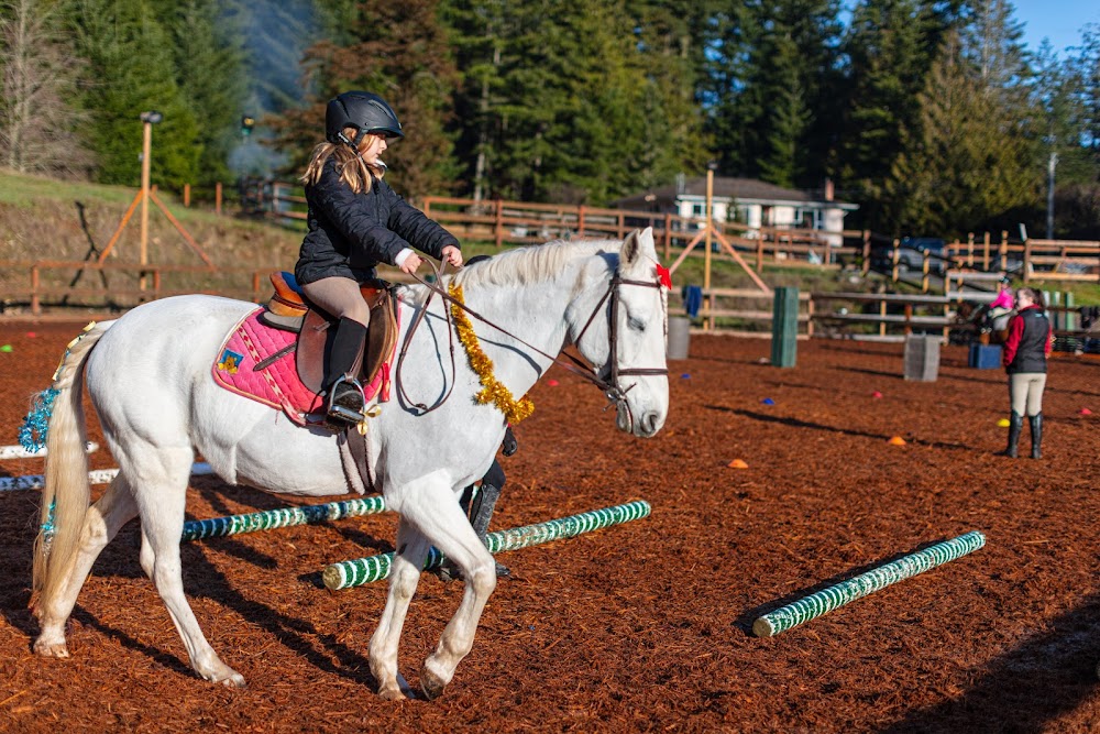 Cedar Vista Stables