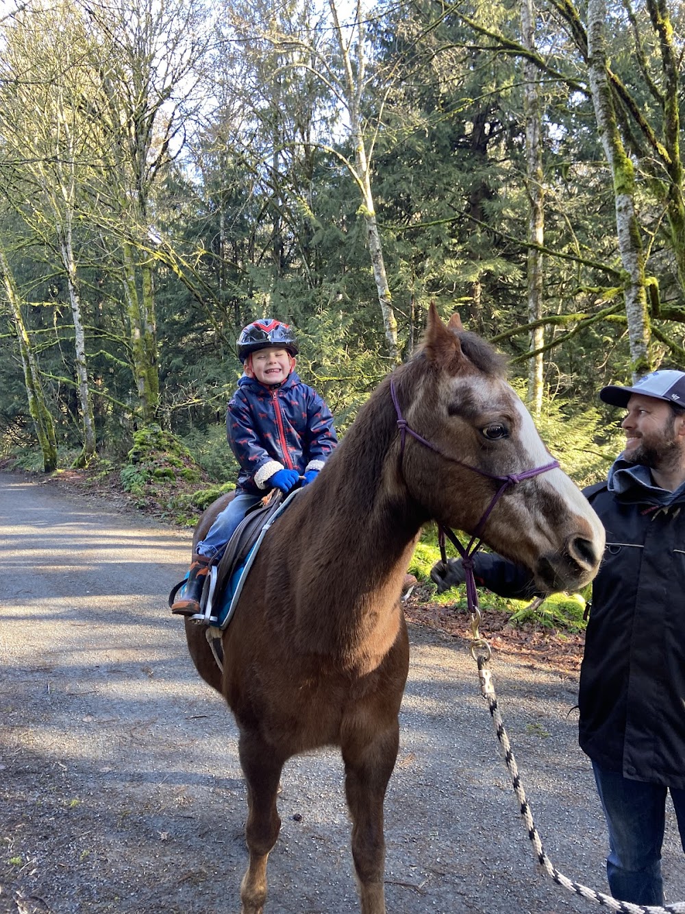 Giddy-Up Equestrian