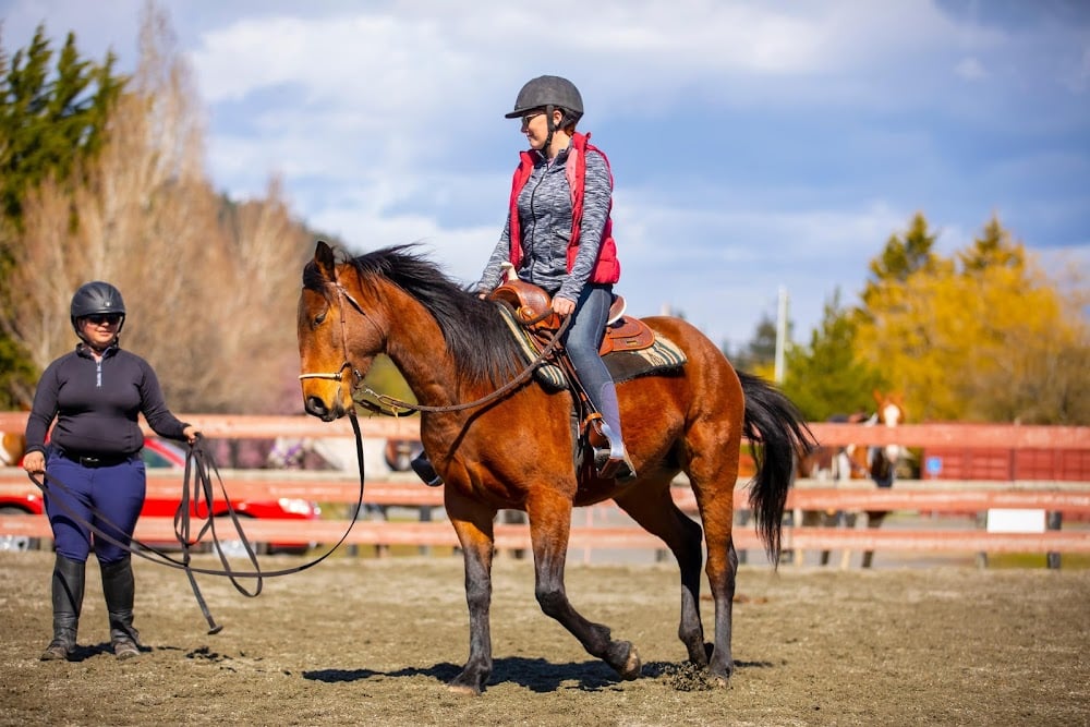 Phoenix Equestrian