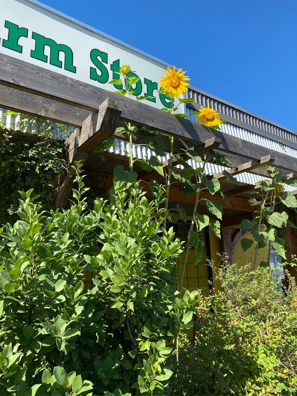 The Community Farm Store