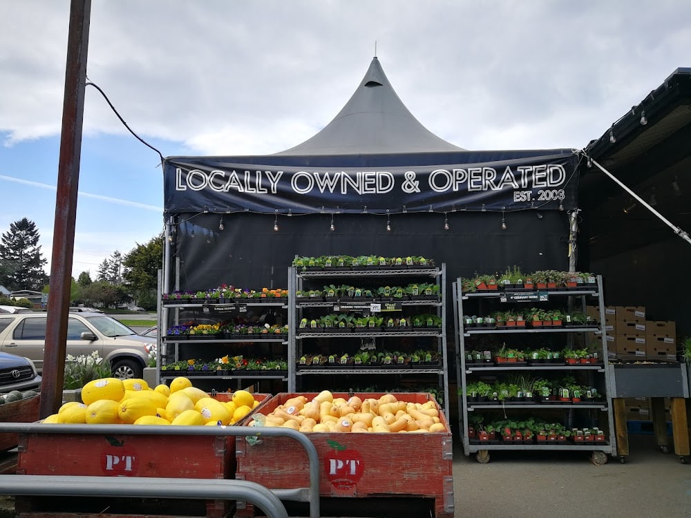 The Root Cellar Village Green Grocer